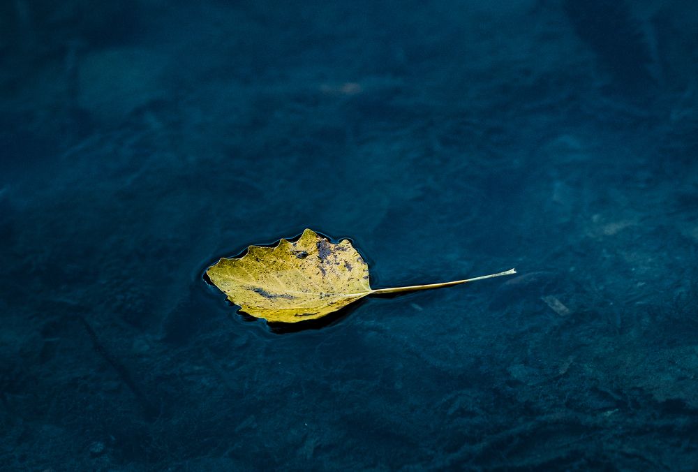 Photograph by Ирина Протченко