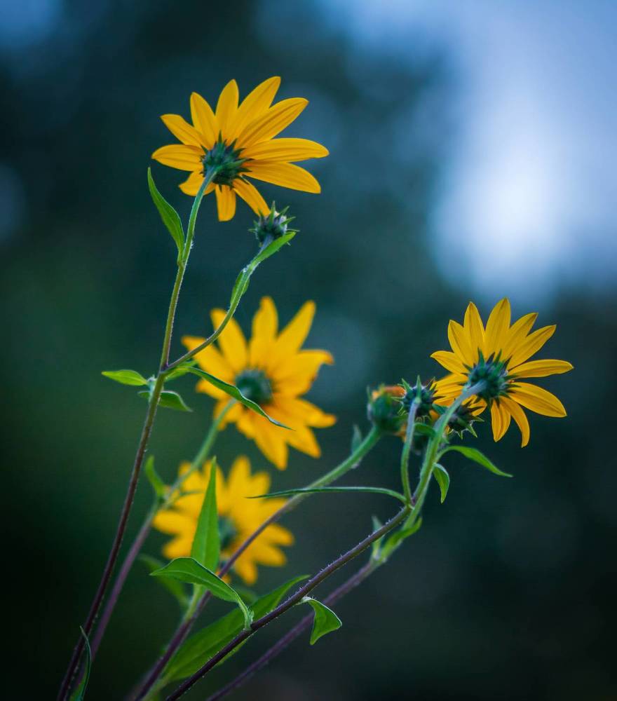 Photograph by Agita Leimane