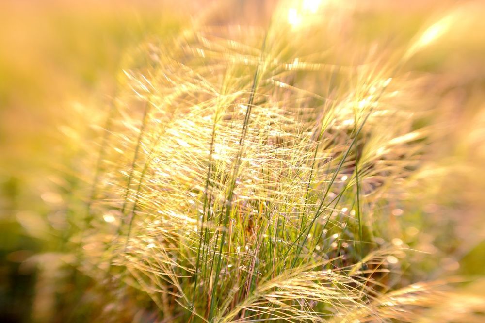 Photograph by Юрий Варюхин