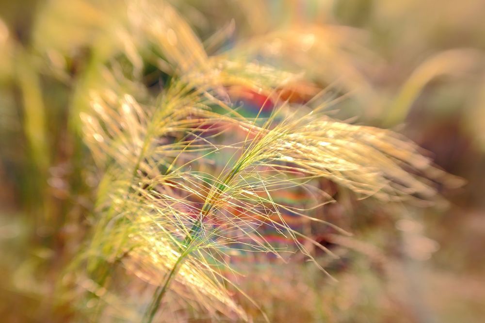 Photograph by Юрий Варюхин