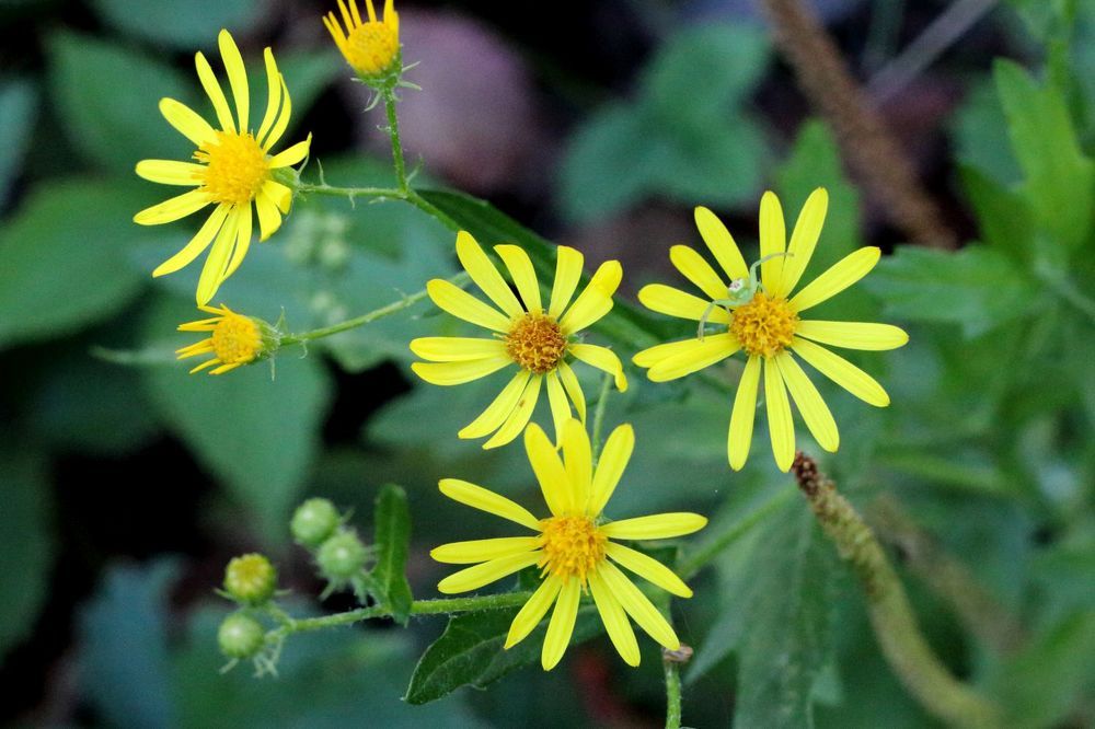 Photograph by Юрий Варюхин