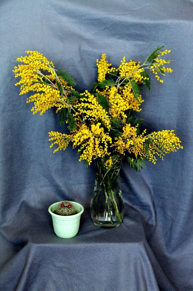 Photograph by Юрий Варюхин