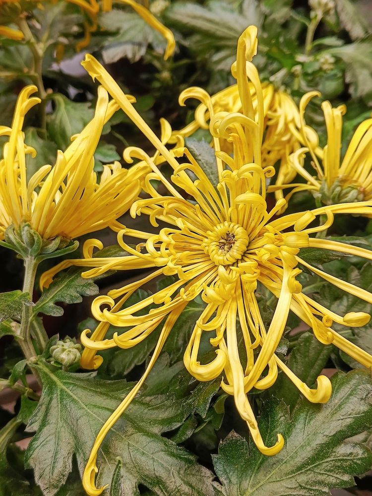 Photograph by Карина Слабкая