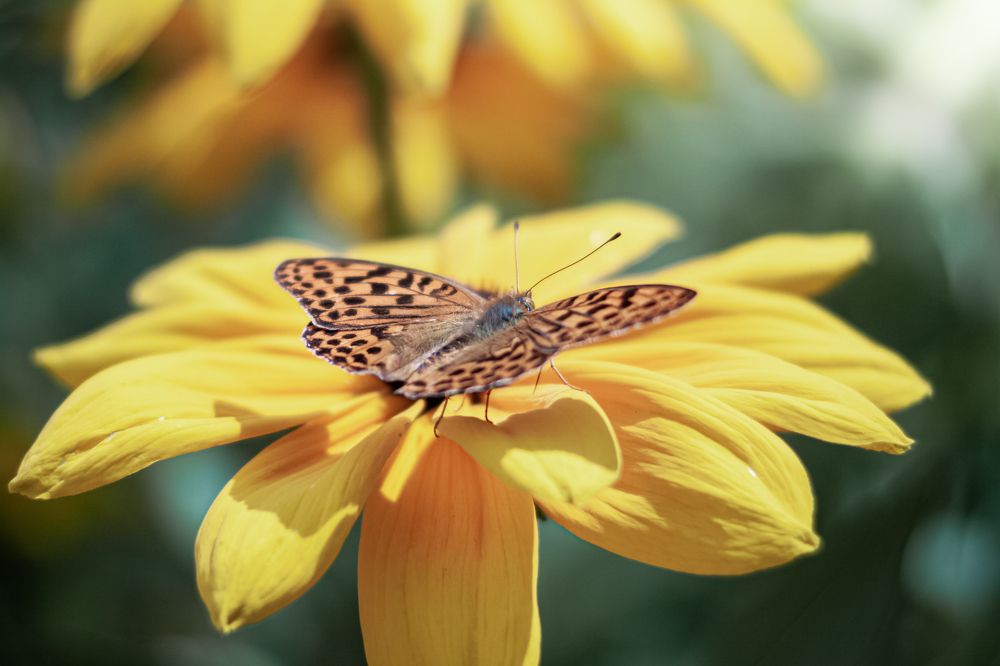 Photograph by Наталья Островцева