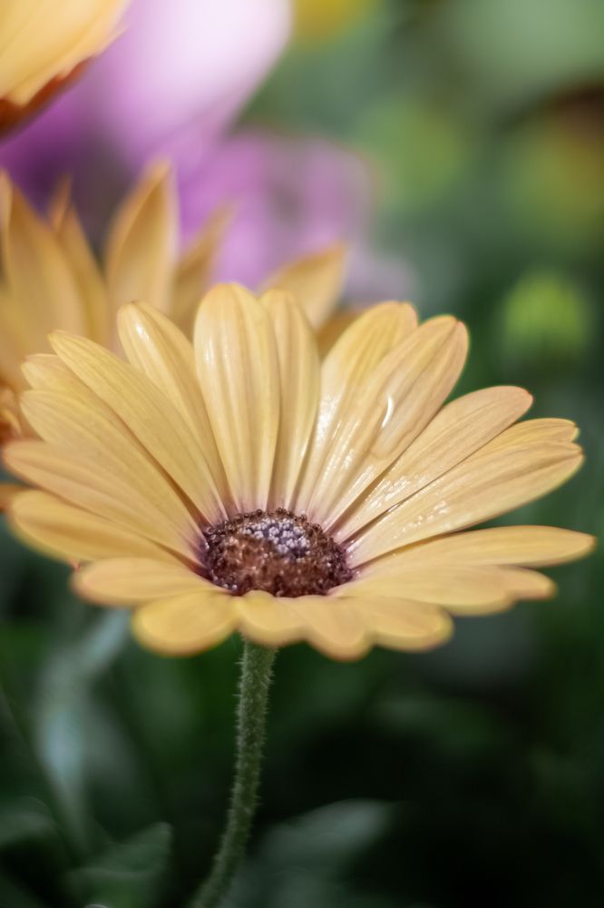 Photograph by Наталья Островцева