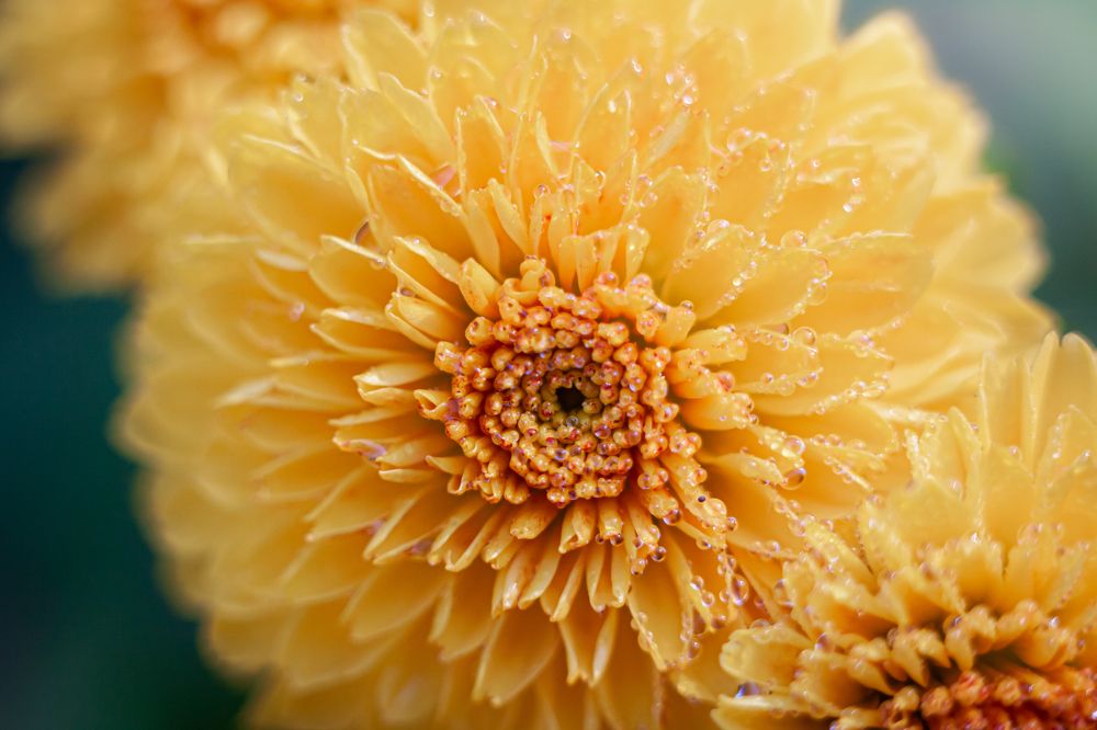 Photograph by Наталья Островцева