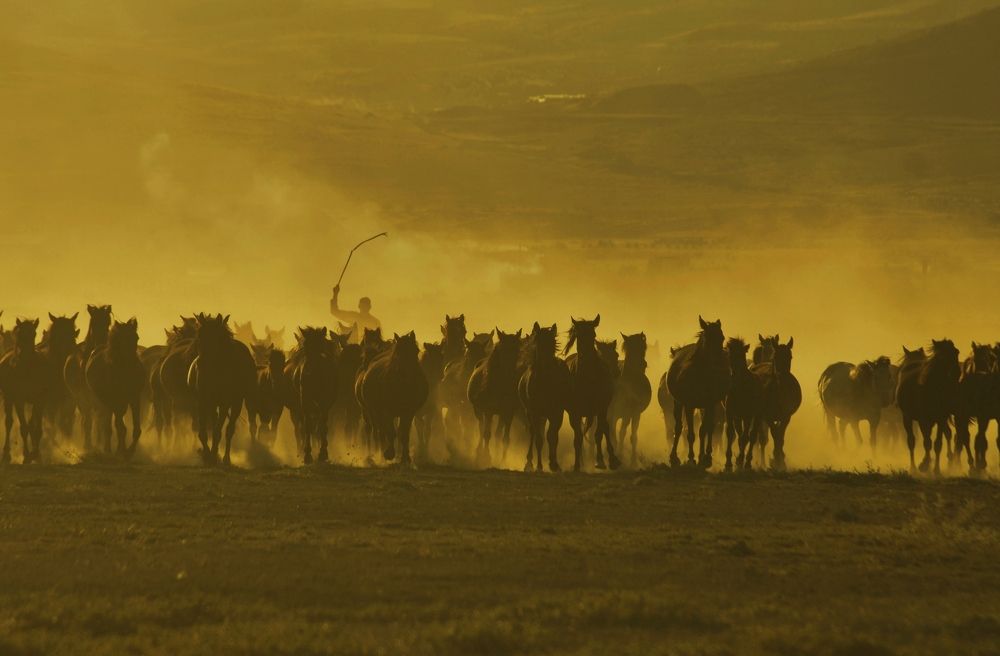 Photograph by Süleyman Ülker