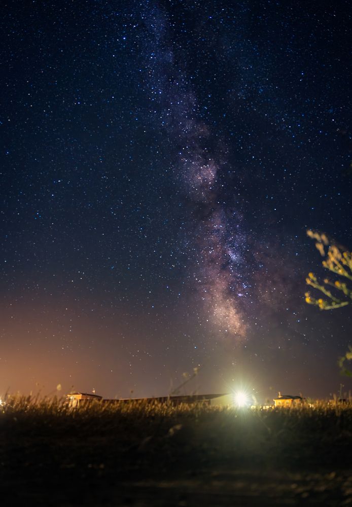 Photograph by Jorge Sastre