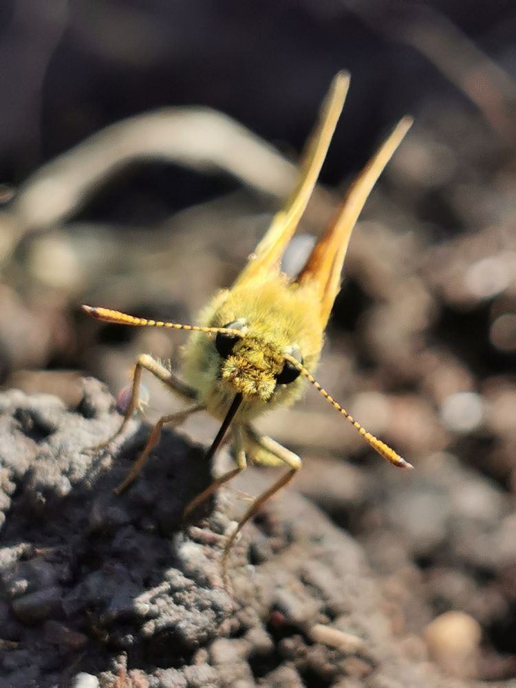 Photograph by Nikolett Mengyi