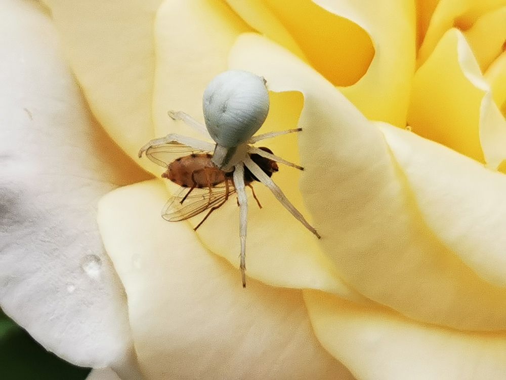 Photograph by Nikolett Mengyi