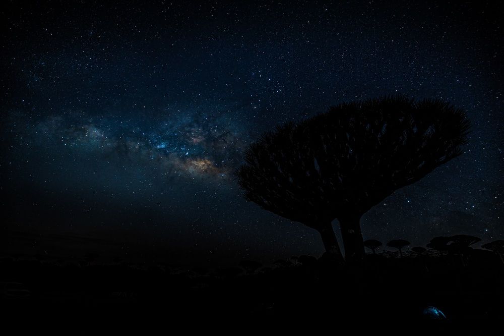 Photograph by Adrian Grigore