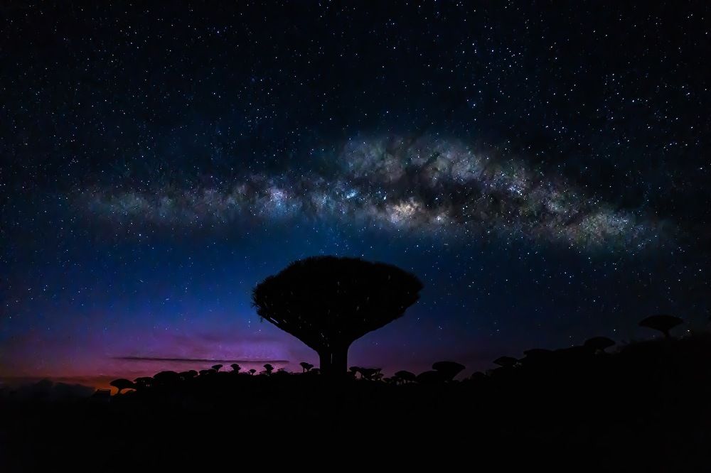 Photograph by Adrian Grigore