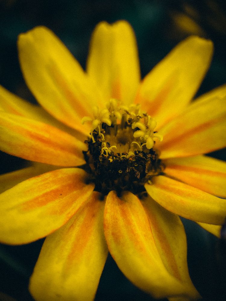 Photograph by Ляйсан Саляхиева