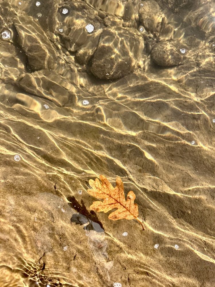 Photograph by Валентина Спиридонова