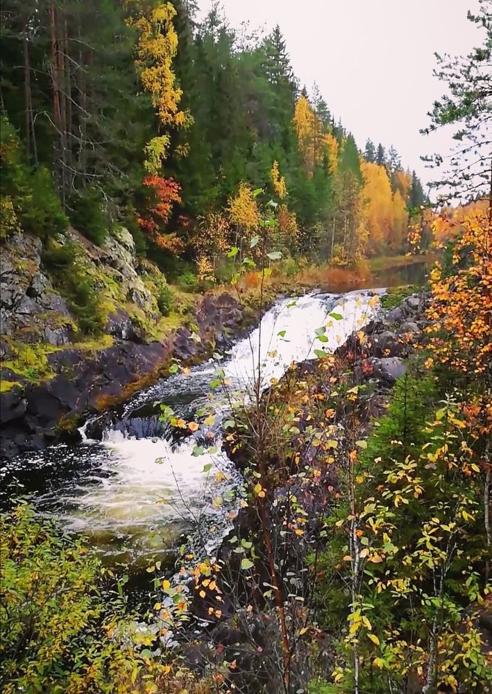 Photograph by Лариса Неудачина