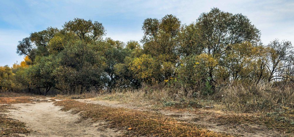 Photograph by mikhail goryachev