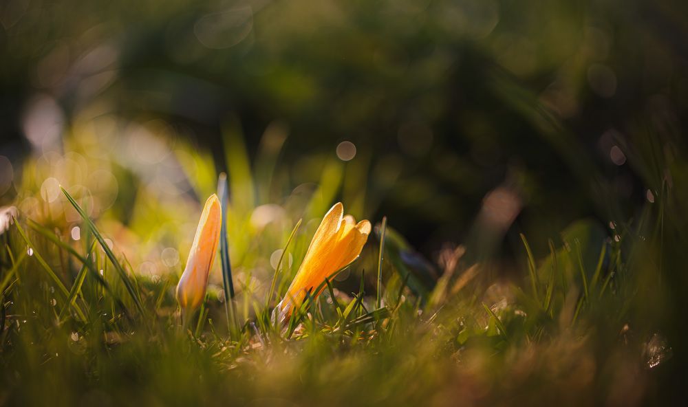 Photograph by Зеленько Дмитрий