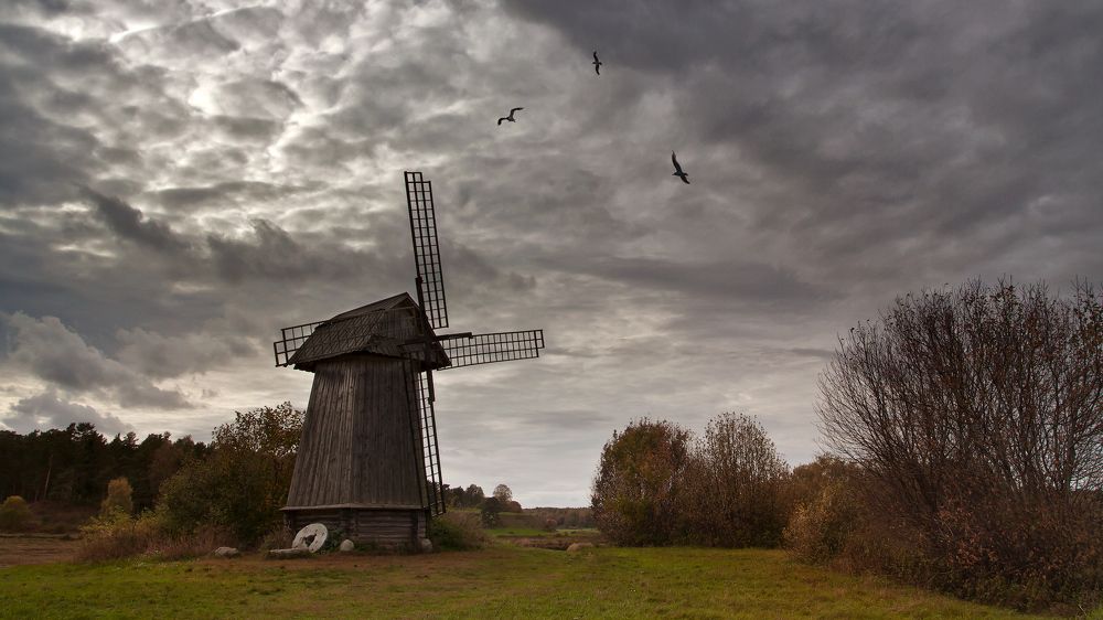Крыльями ворочая едва