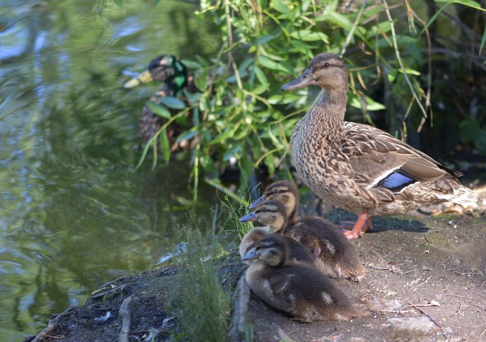 Photograph by Жанна Чередниченко