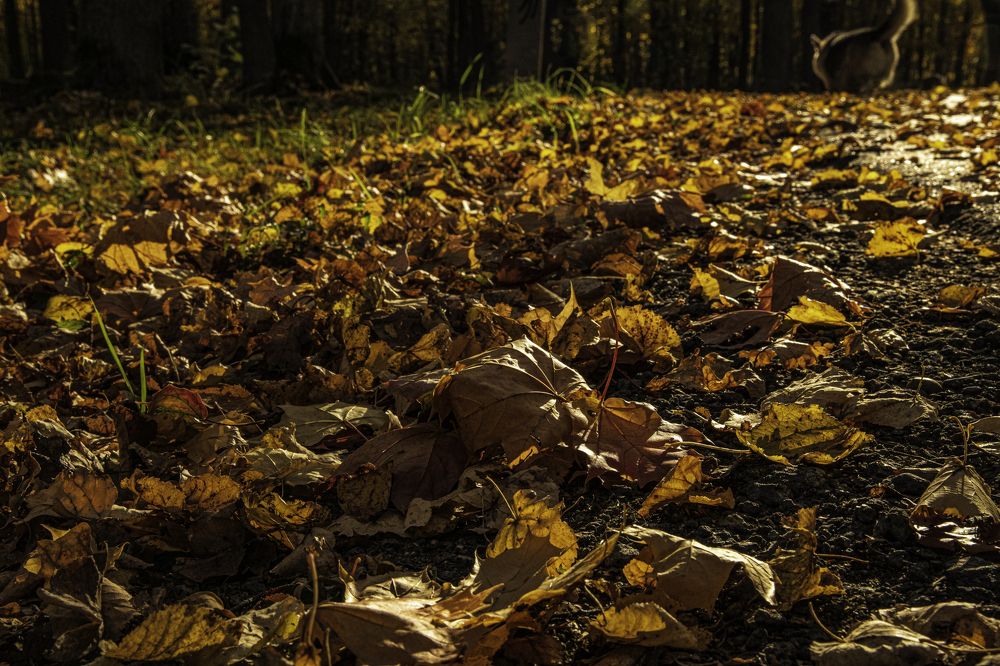 Photograph by Юрий Платухин