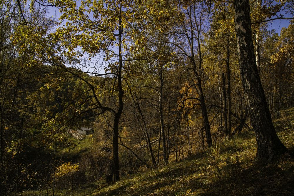 Photograph by Юрий Платухин