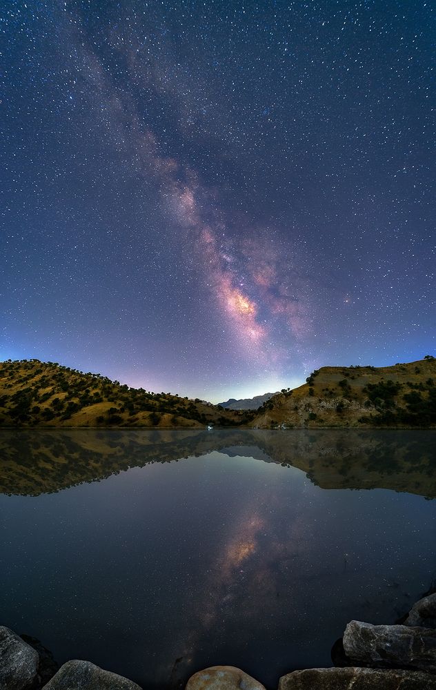 Photograph by Hamid Tasa