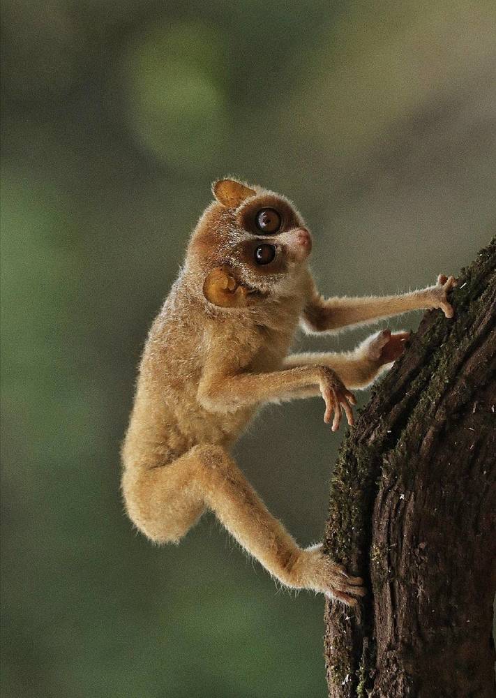 Photograph by prabhakar Gujjarappa