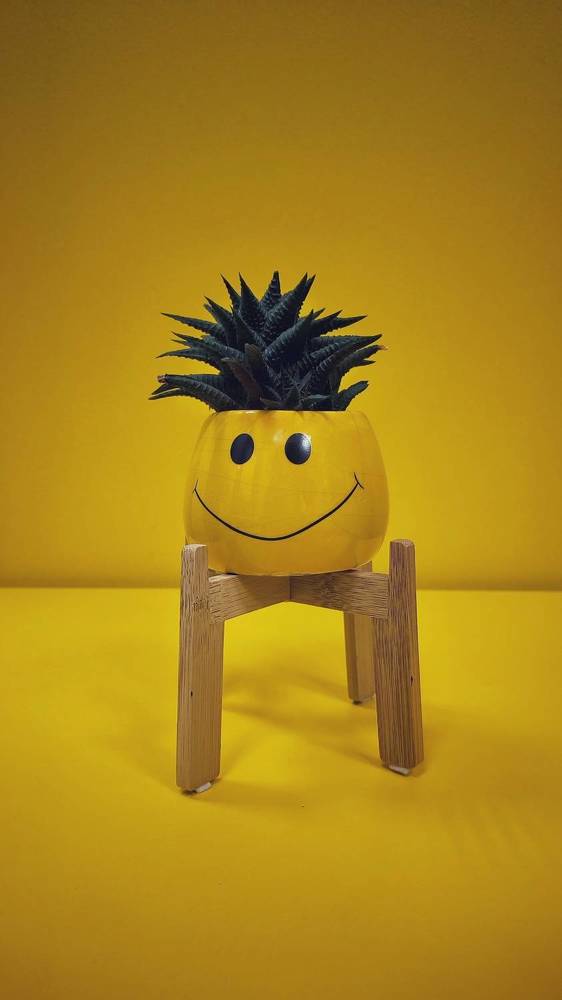 Photograph by Ольга Попова