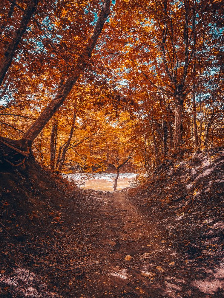 Photograph by Елена Громова