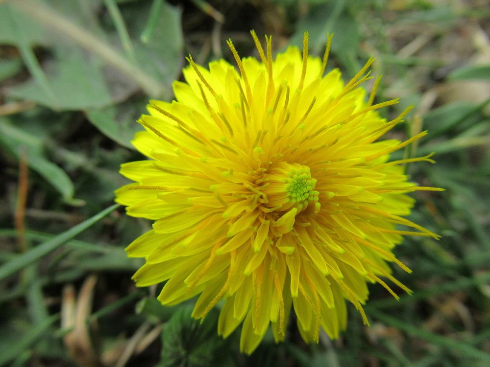 Photograph by Владимир