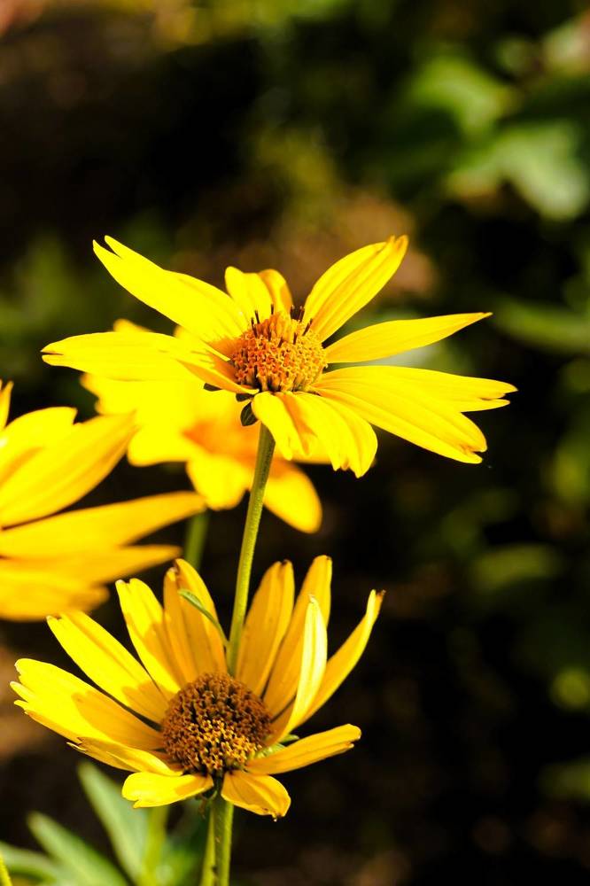 Photograph by jelena konickaja