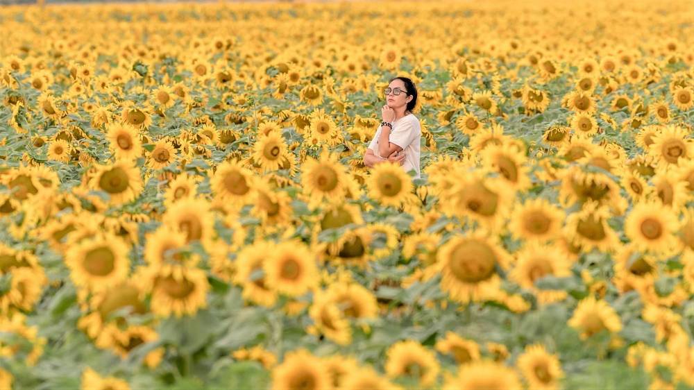 Photograph by константин