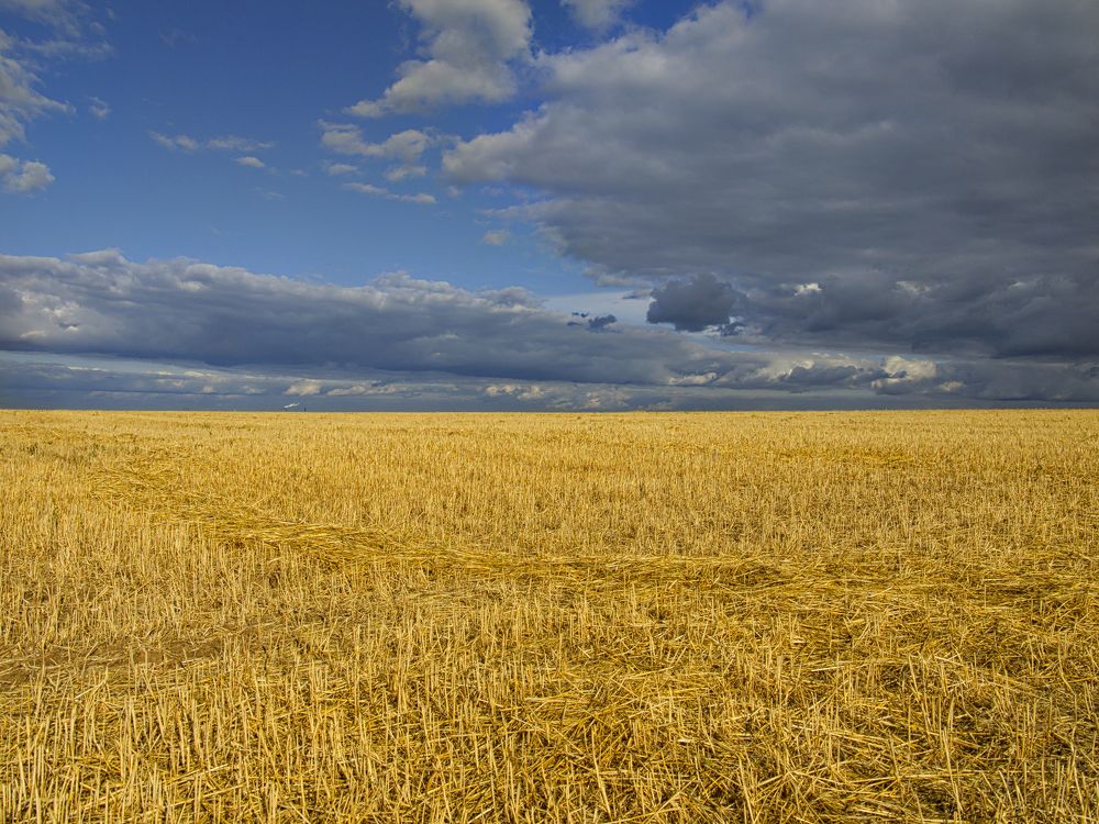 Photograph by Игорь Зиновьев