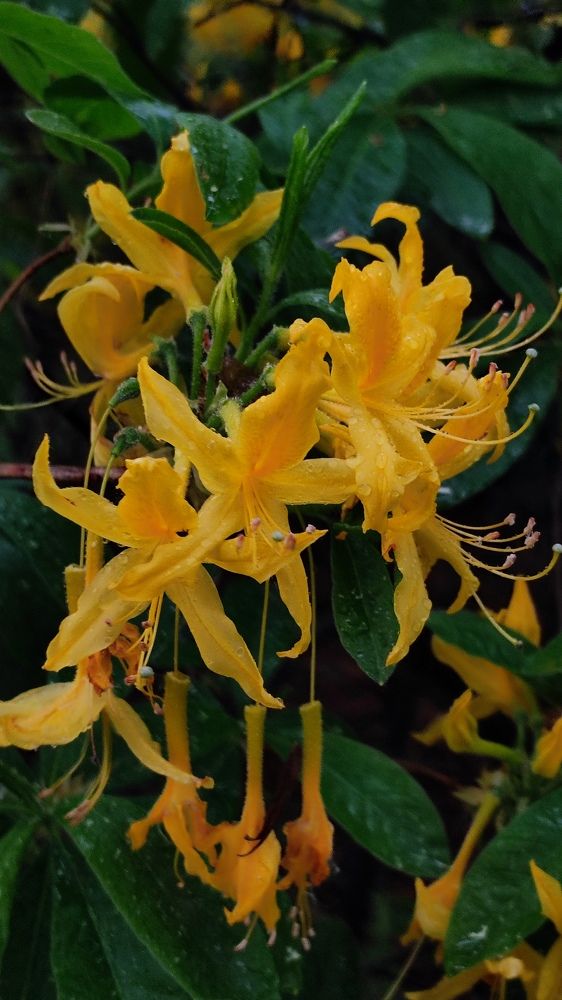 Photograph by Evgenia Korchagova