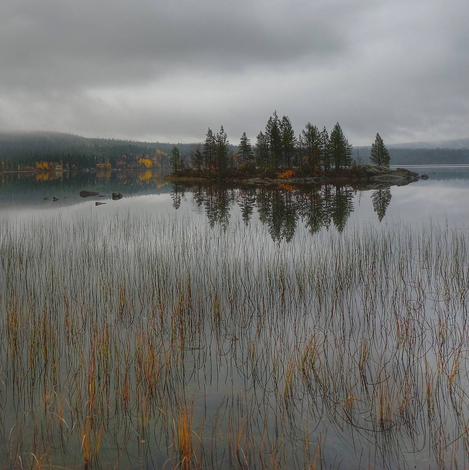 Photo #11125070