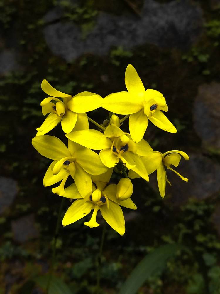 Фотография автора Umesha Madhushan