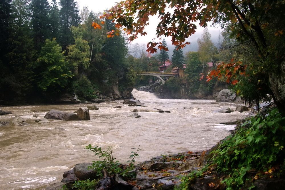 Фотография автора ВЛАДИМИР Тертышник