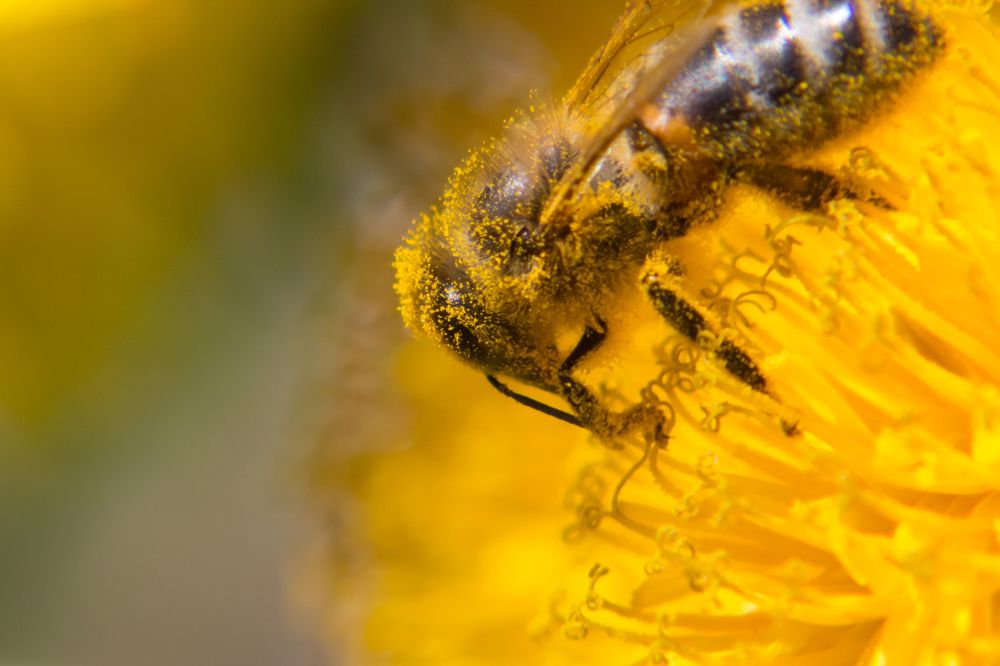 Photograph by Старцев Андрей