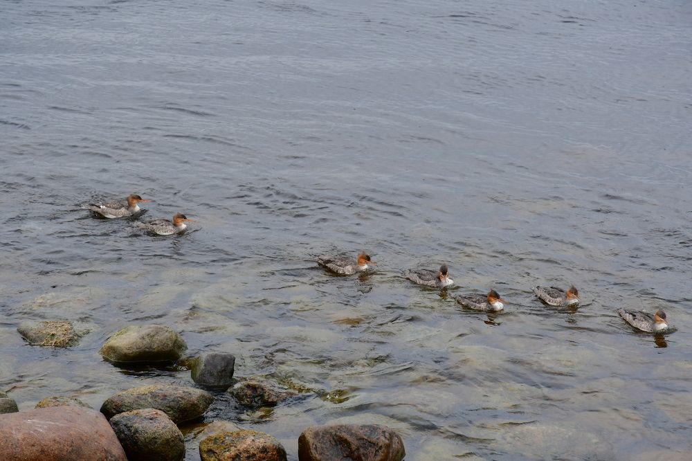 Photograph by Евстигнеев Евгений Васильевич