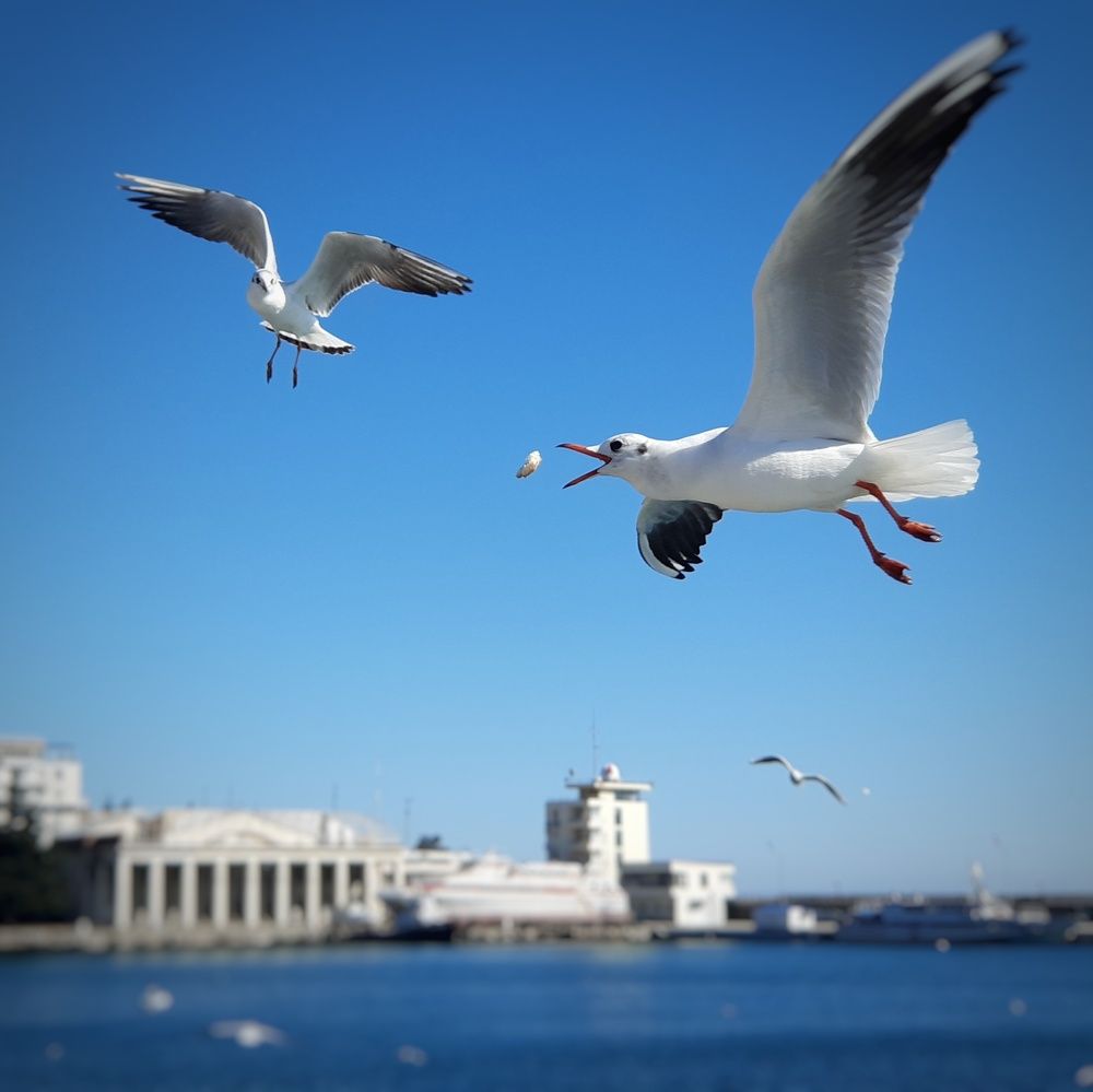 Photograph by Лариса Мик