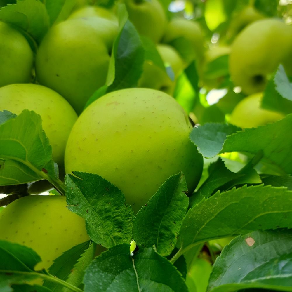 Photograph by sameera madushantha