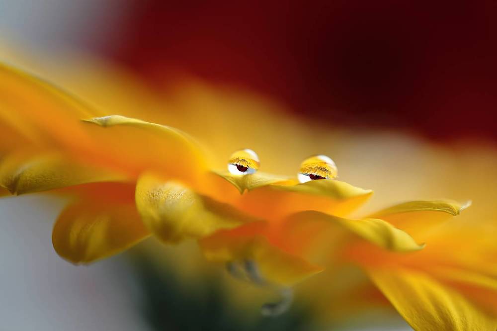 - мы наблюдаем за вами!!!