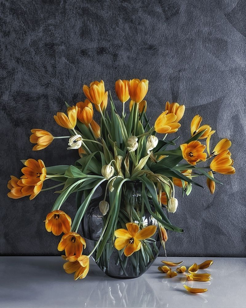 Photograph by Anya Lo