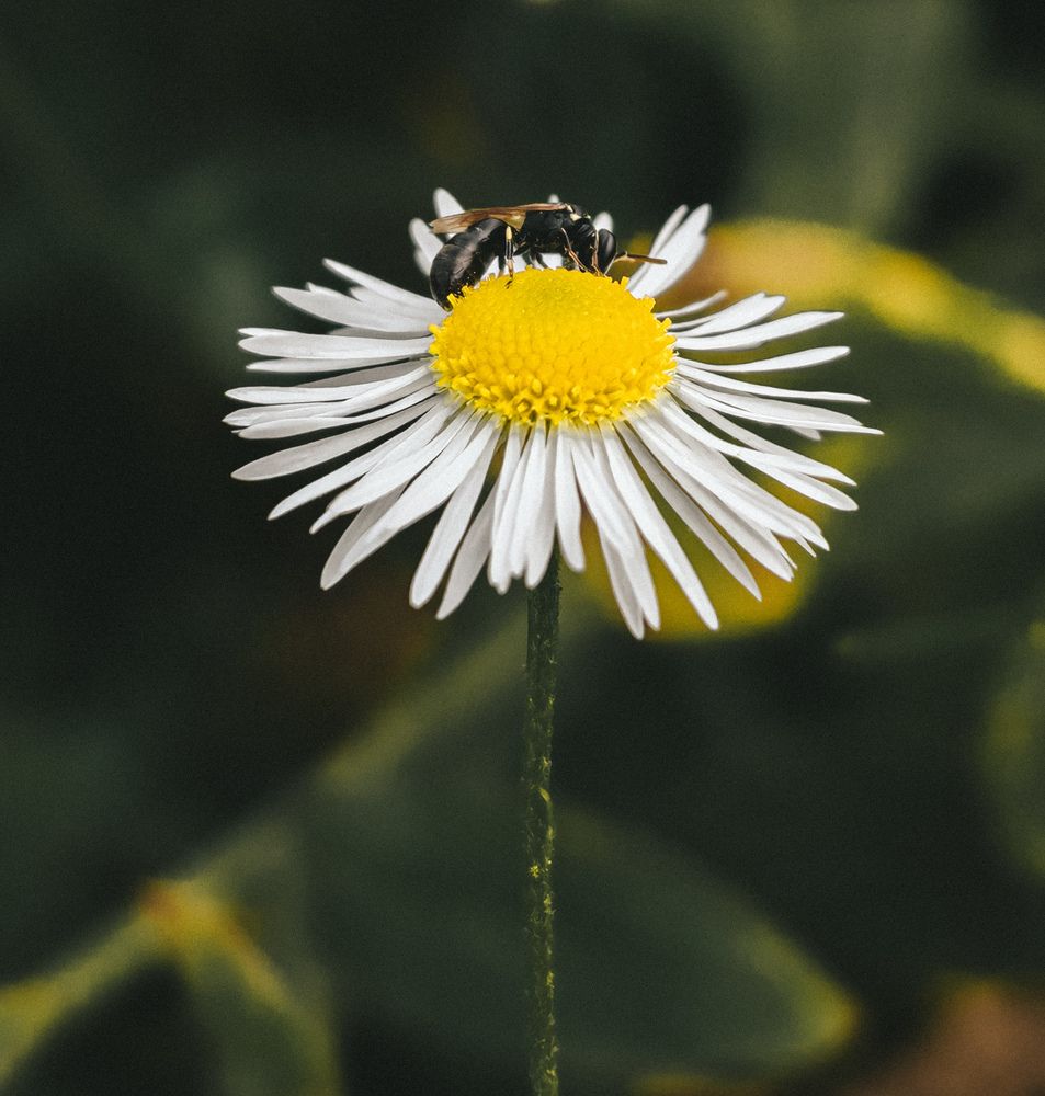 Photograph by Екатерина Савеня