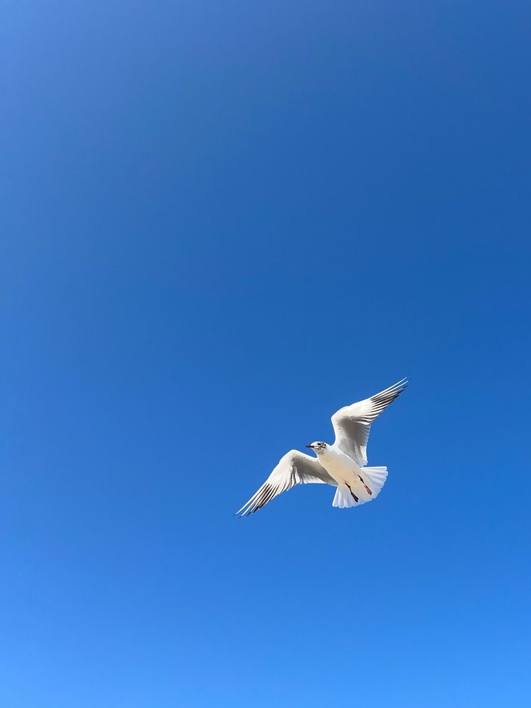 Photograph by Яна Сел