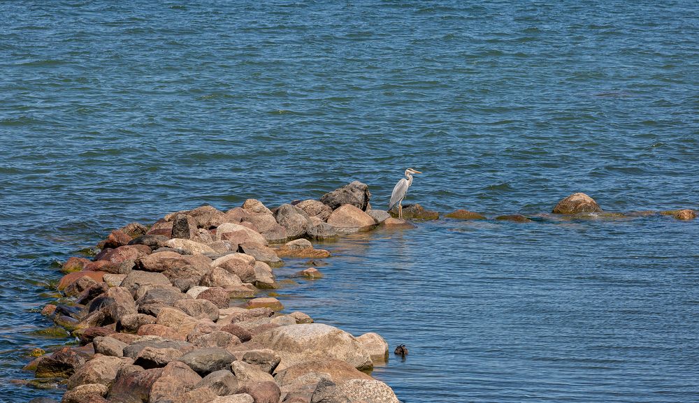 Photograph by yuri kutukov