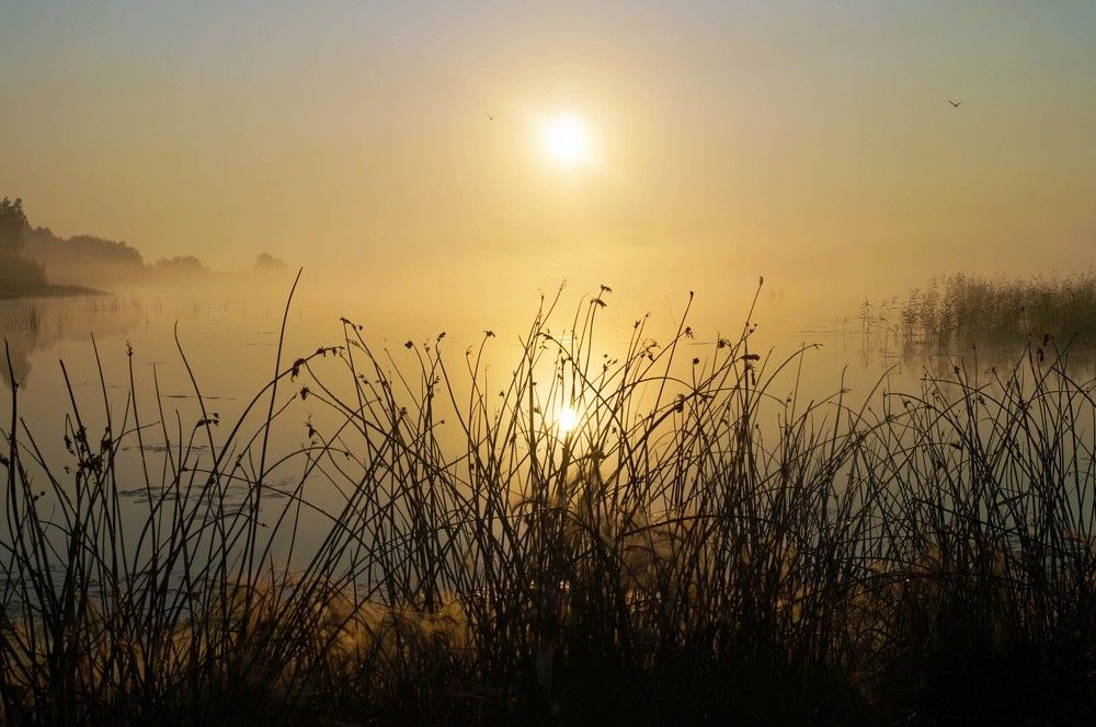 Photograph by Мишустина Татьяна