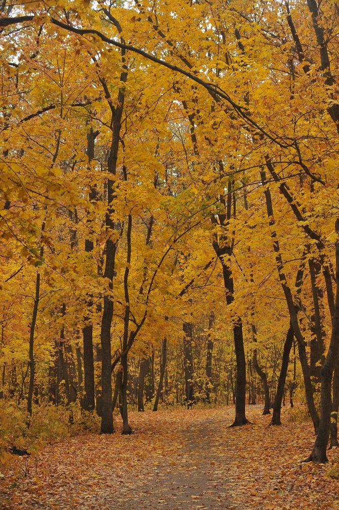 Photograph by Алексей Volg