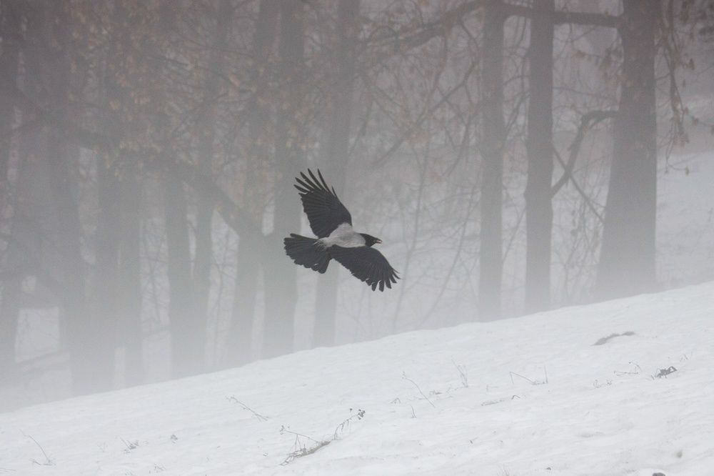 Photograph by Анна Козинова