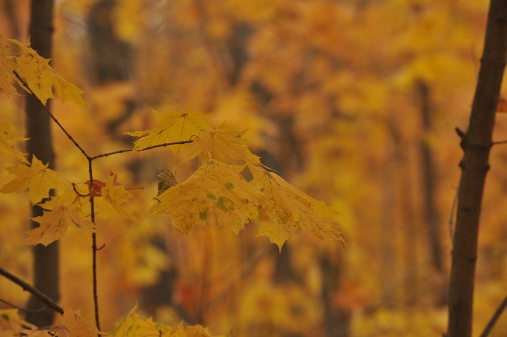 Photograph by Алексей Volg